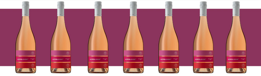 Are 0.5% ABV Drinks Really Alcohol-Free?