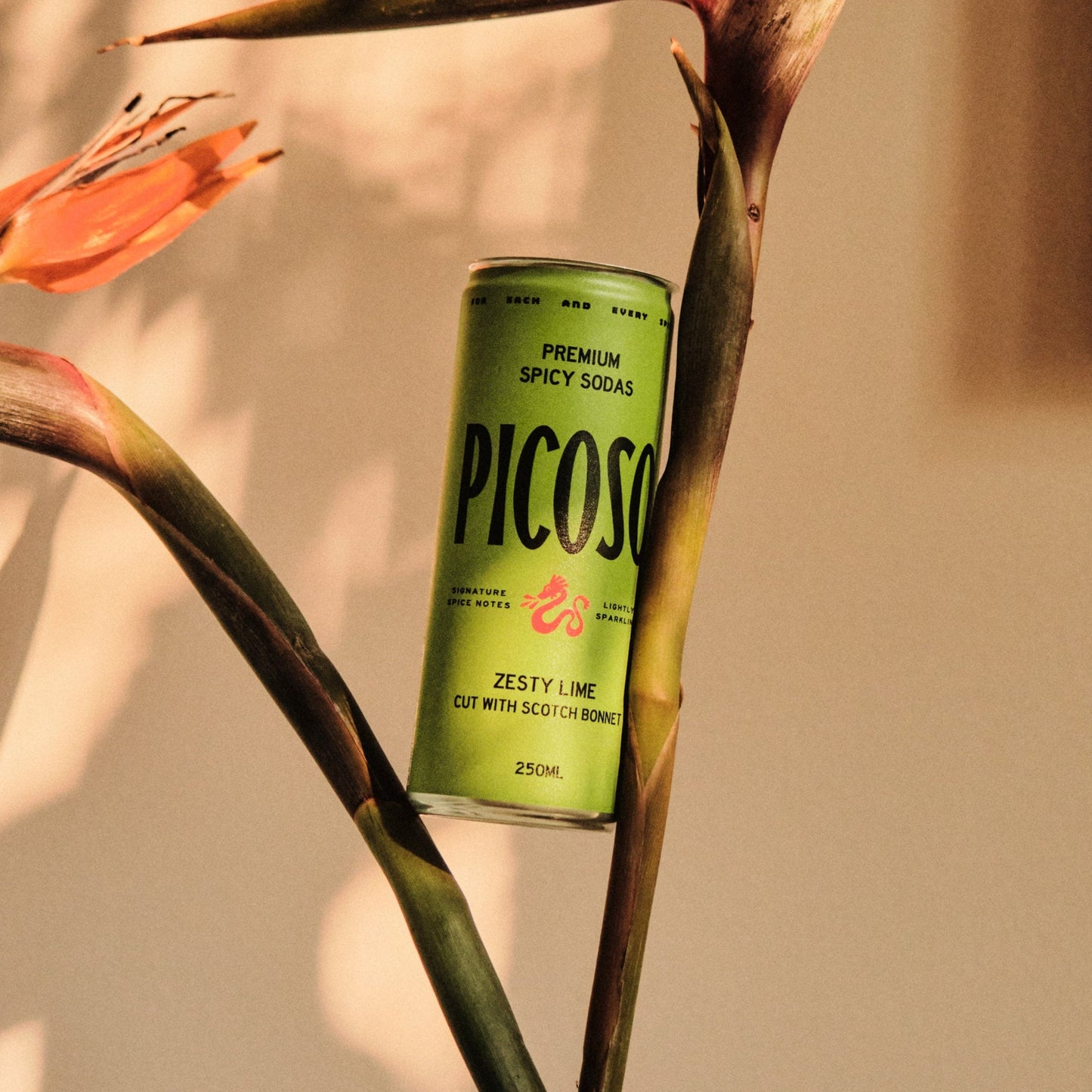 Picoso Zesty Lime & Scotch Bonnet Spicy Soda