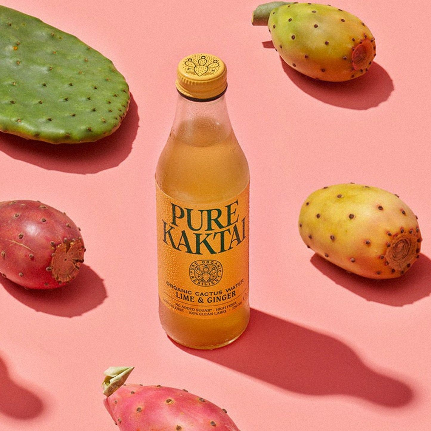 Pure Kaktai Lime & Ginger Sparkling Cactus Water