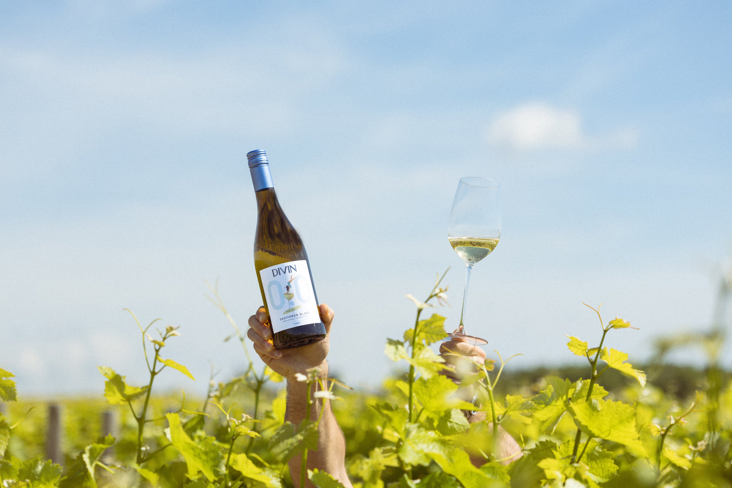 DIVIN 'Classic' Sauvignon Blanc