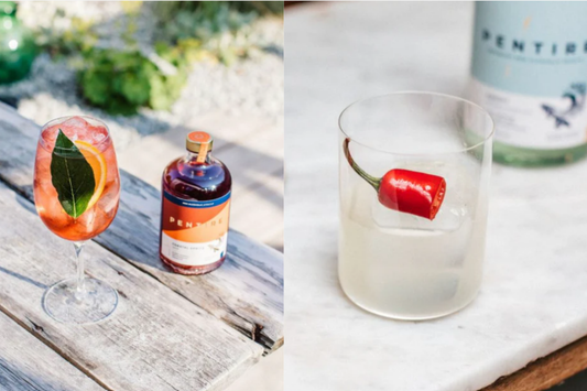 Savour the Coast: Discovering the Botanical World of Pentire