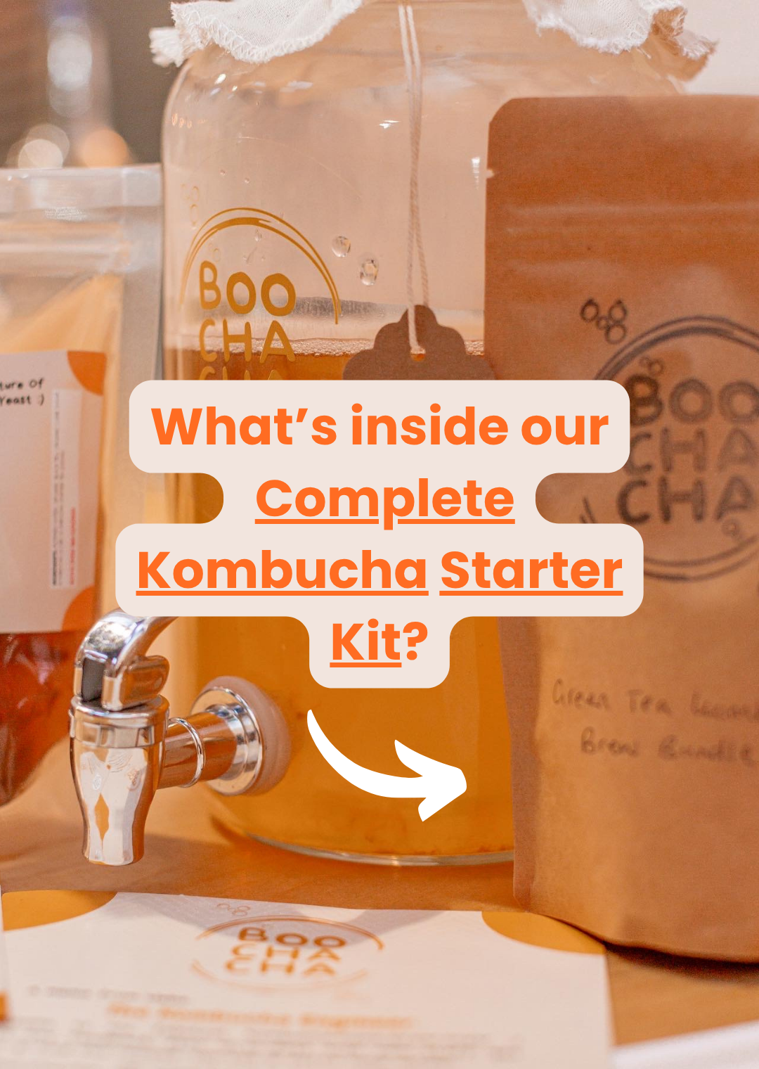 Complete Kombucha Starter Kit