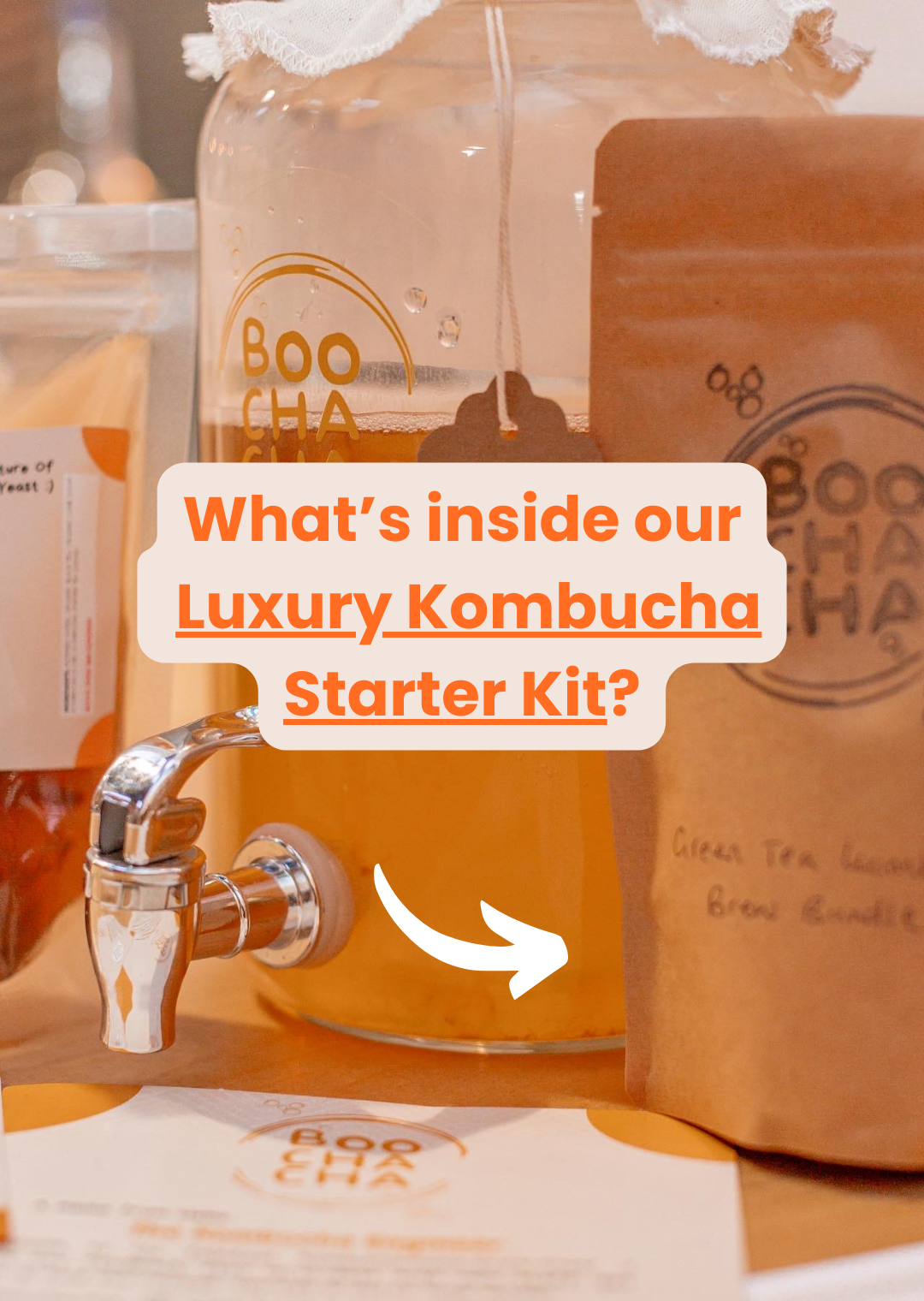 Luxury Kombucha Starter Kit - Gift Set