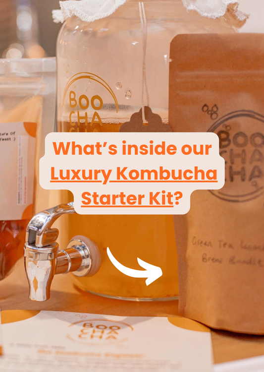 Luxury Kombucha Starter Kit - Gift Set