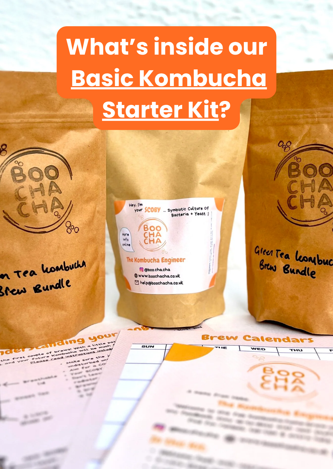 Basic Kombucha Starter Kit