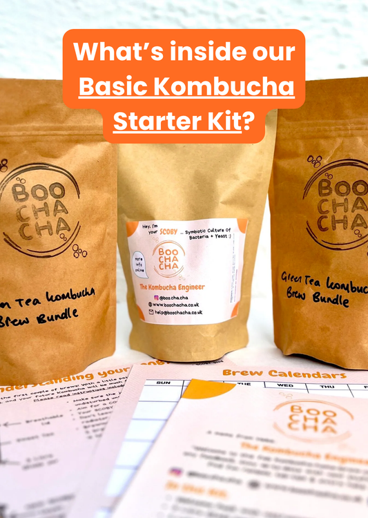 Basic Kombucha Starter Kit