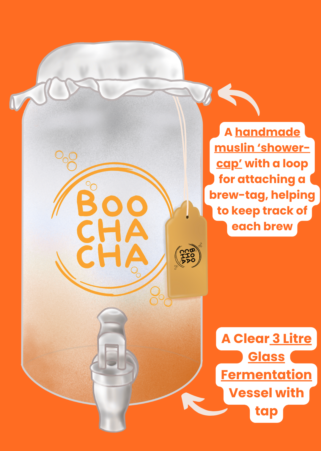 Luxury Kombucha Starter Kit - Gift Set