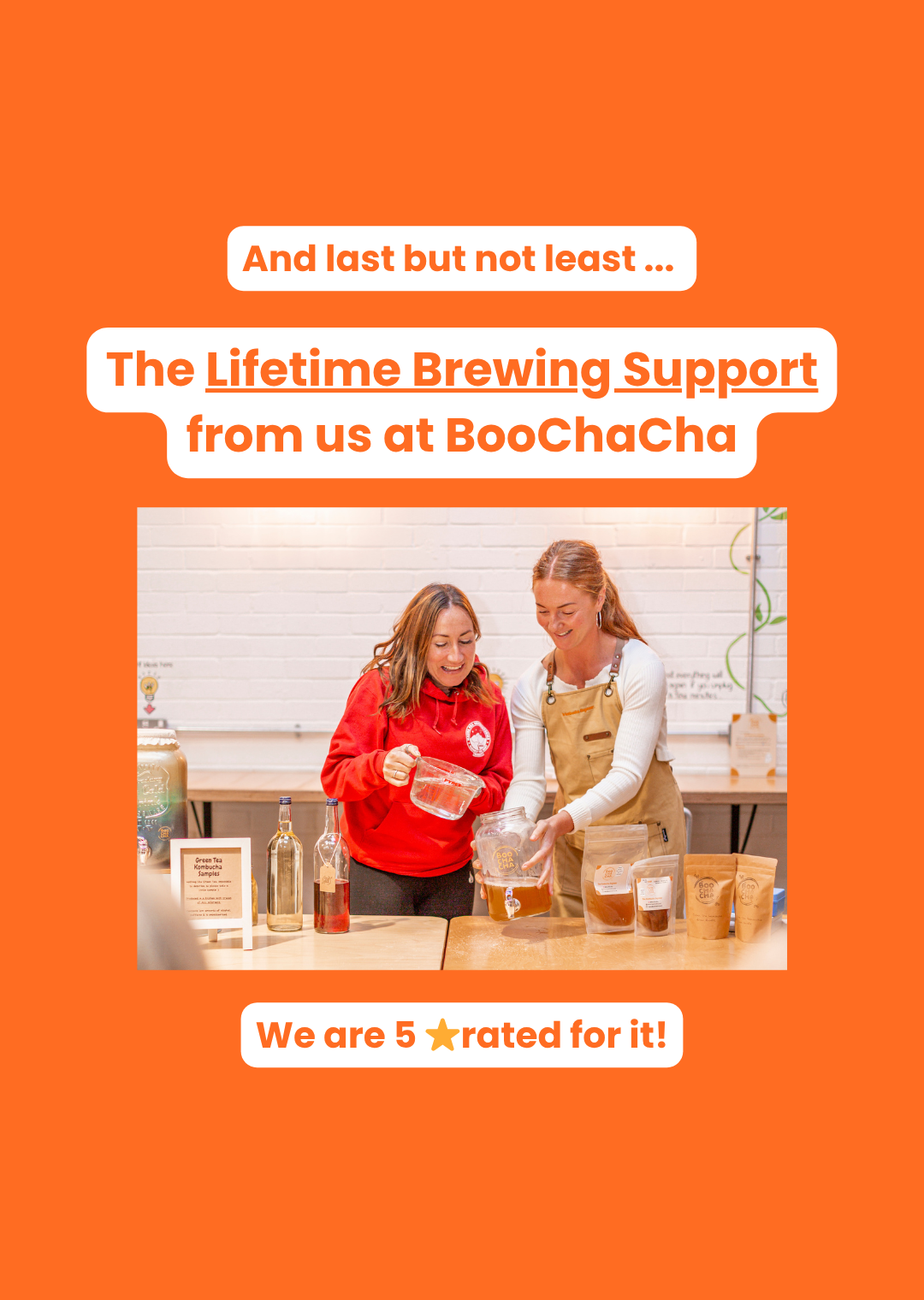 Complete Kombucha Starter Kit