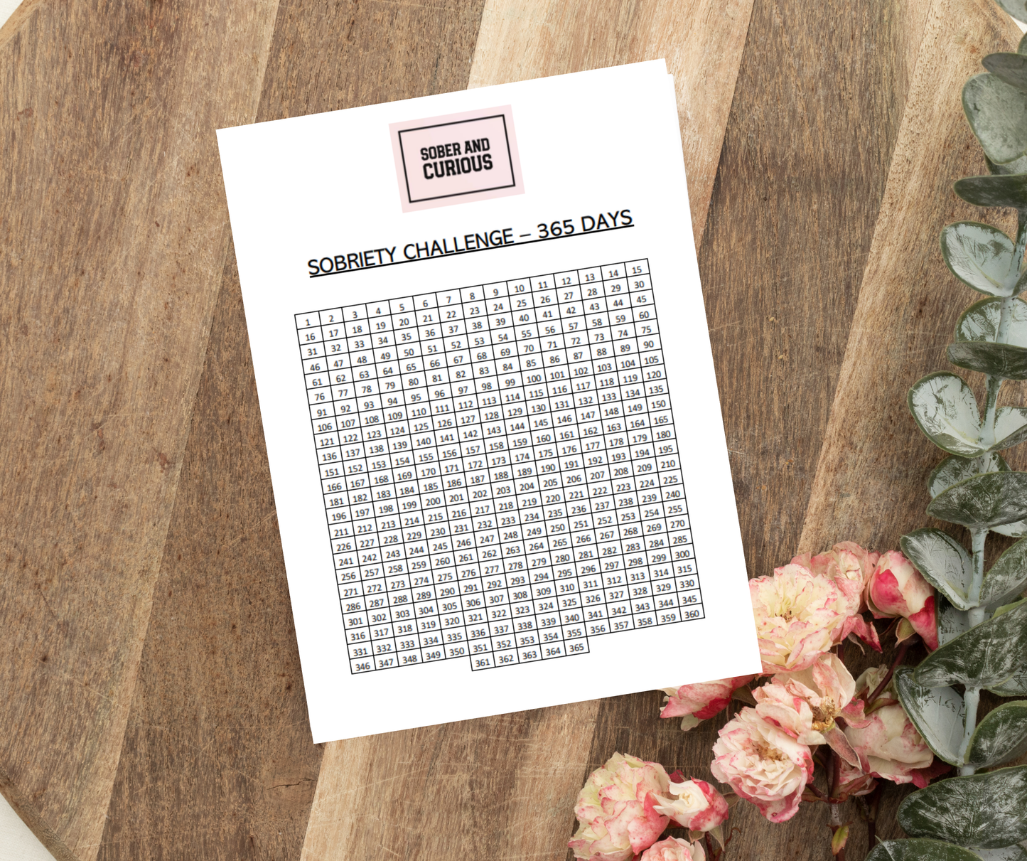 DIGITAL DOWNLOAD - 365 Day, 1 Year SOBRIETY Tracker Challenge