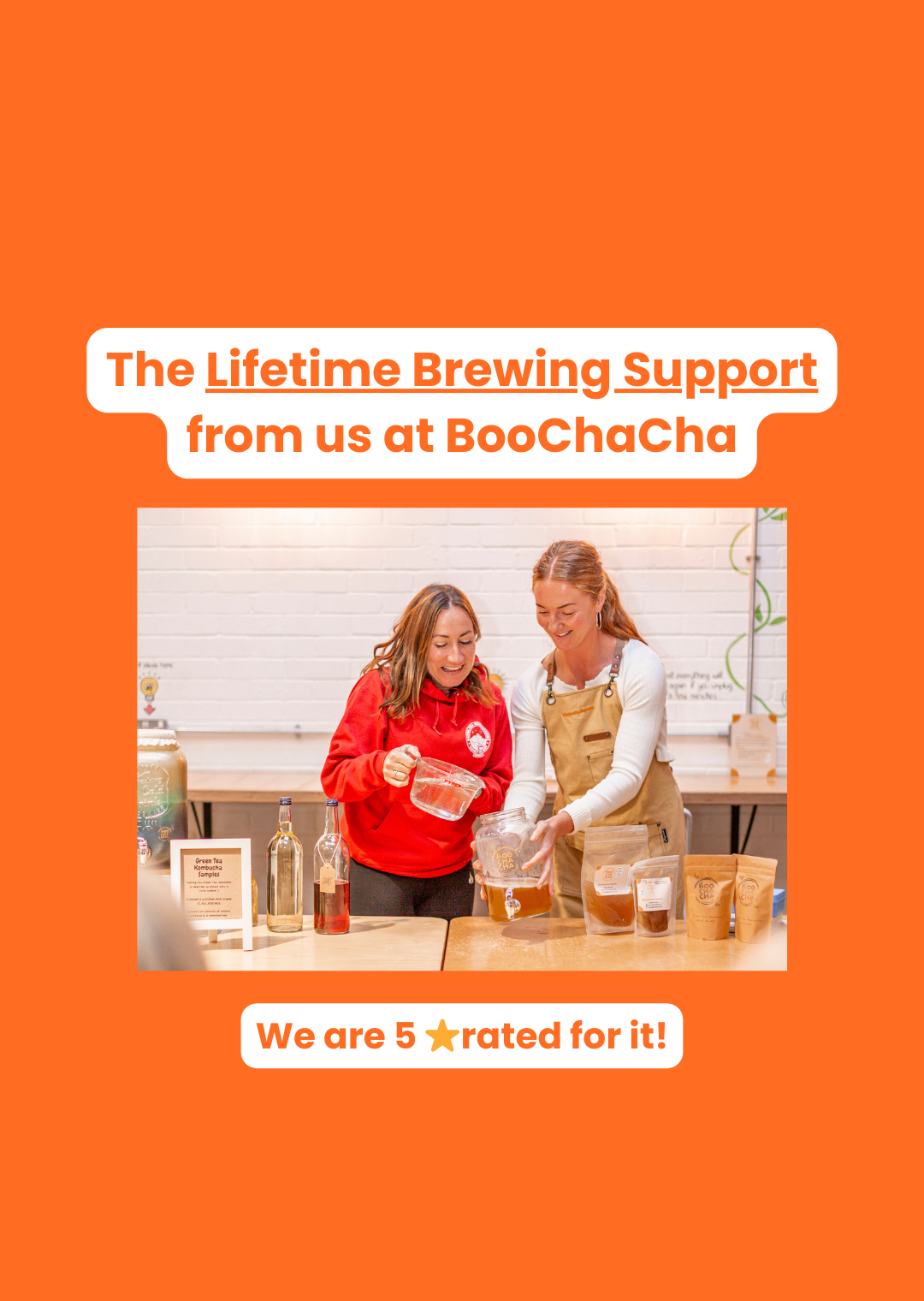 Luxury Kombucha Starter Kit - Gift Set