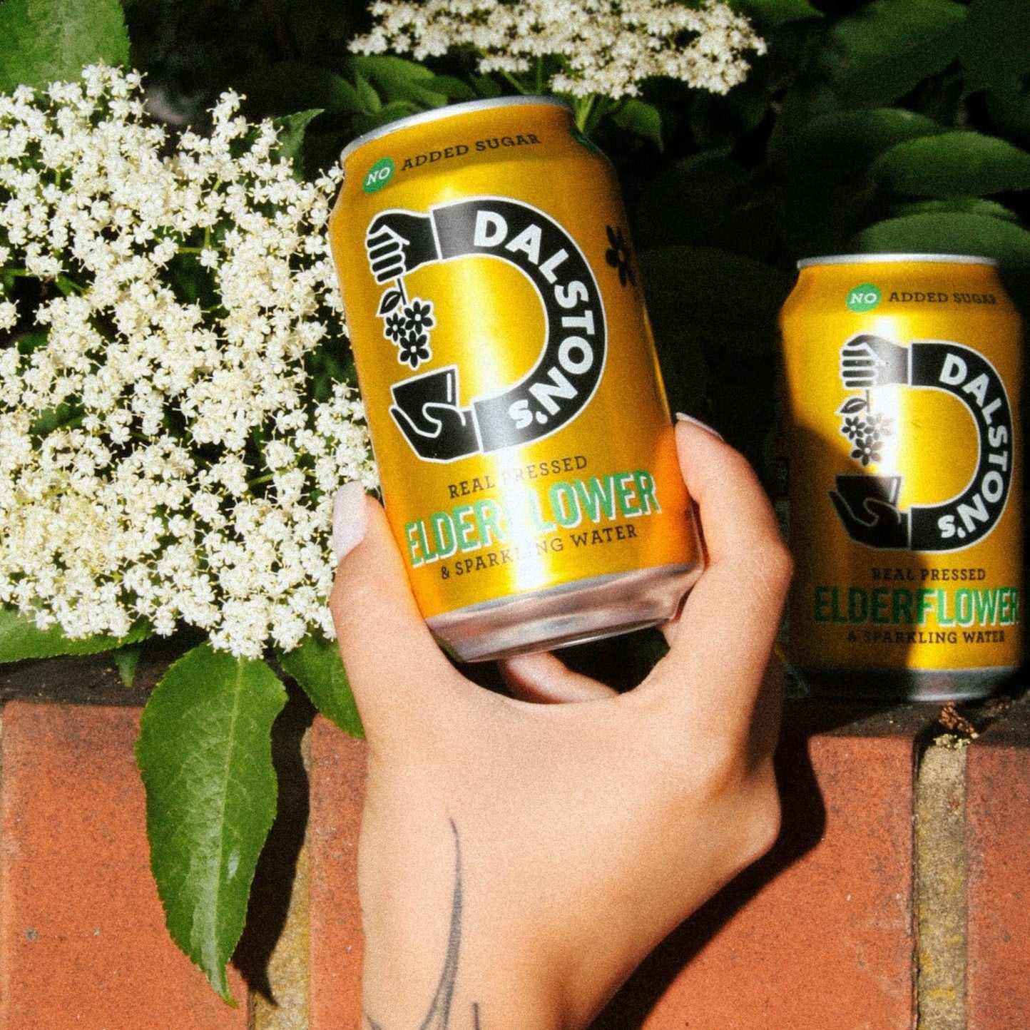 Dalston's Elderflower Soda