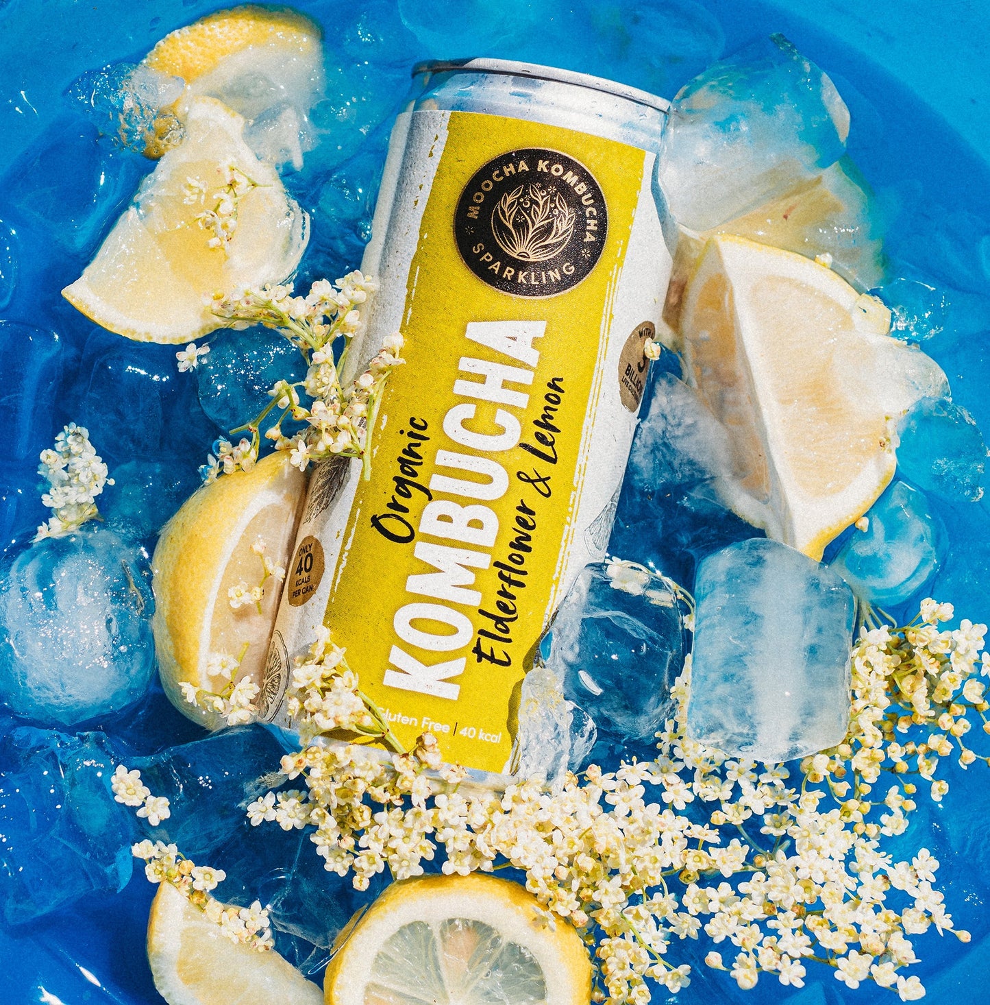 Mix & Match: Build Your Own Box of 12