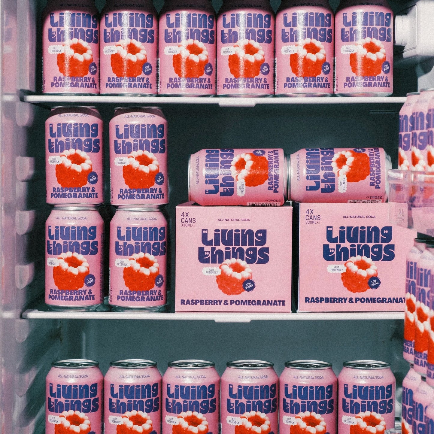 Living Things Raspberry & Pomegranate Prebiotic Soda