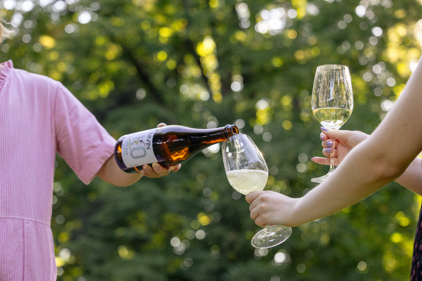 DIVIN Sparkling Sauvignon Blanc