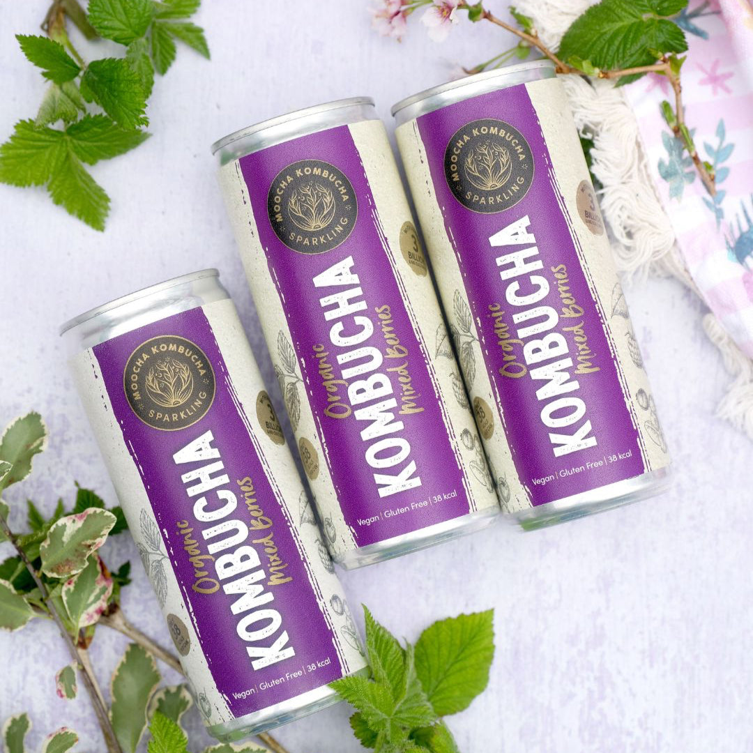 Mixed Berry Flavour Organic Kombucha