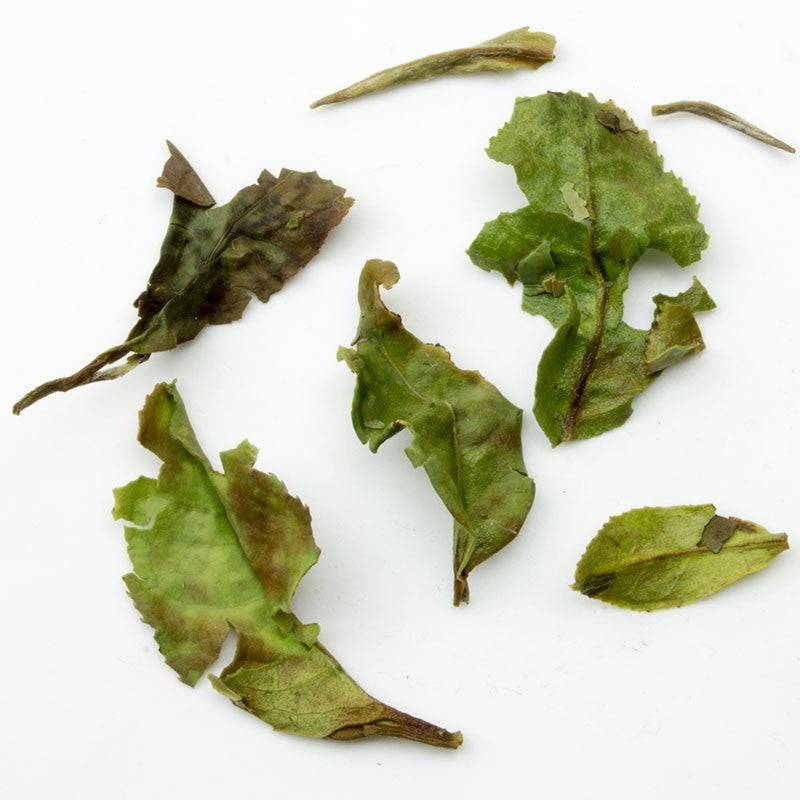 Pai Mu Dan White Tea